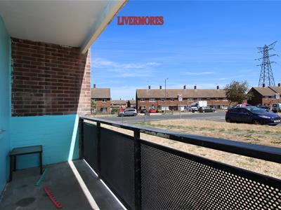 Picture 5